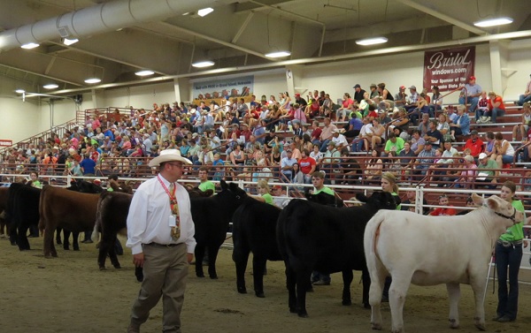 Nebraska State Fair to Feature Thousands of 4-H Exhibits, Food Samples, More
