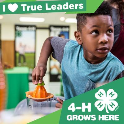 4-H Grow True Leaders