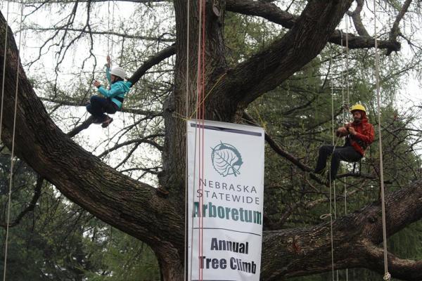 Participants can climb state champion tree at Earth Day Omaha