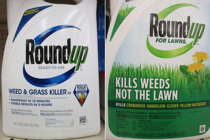 Extension Specialist Urges Caution When, Will Roundup Kill Grass