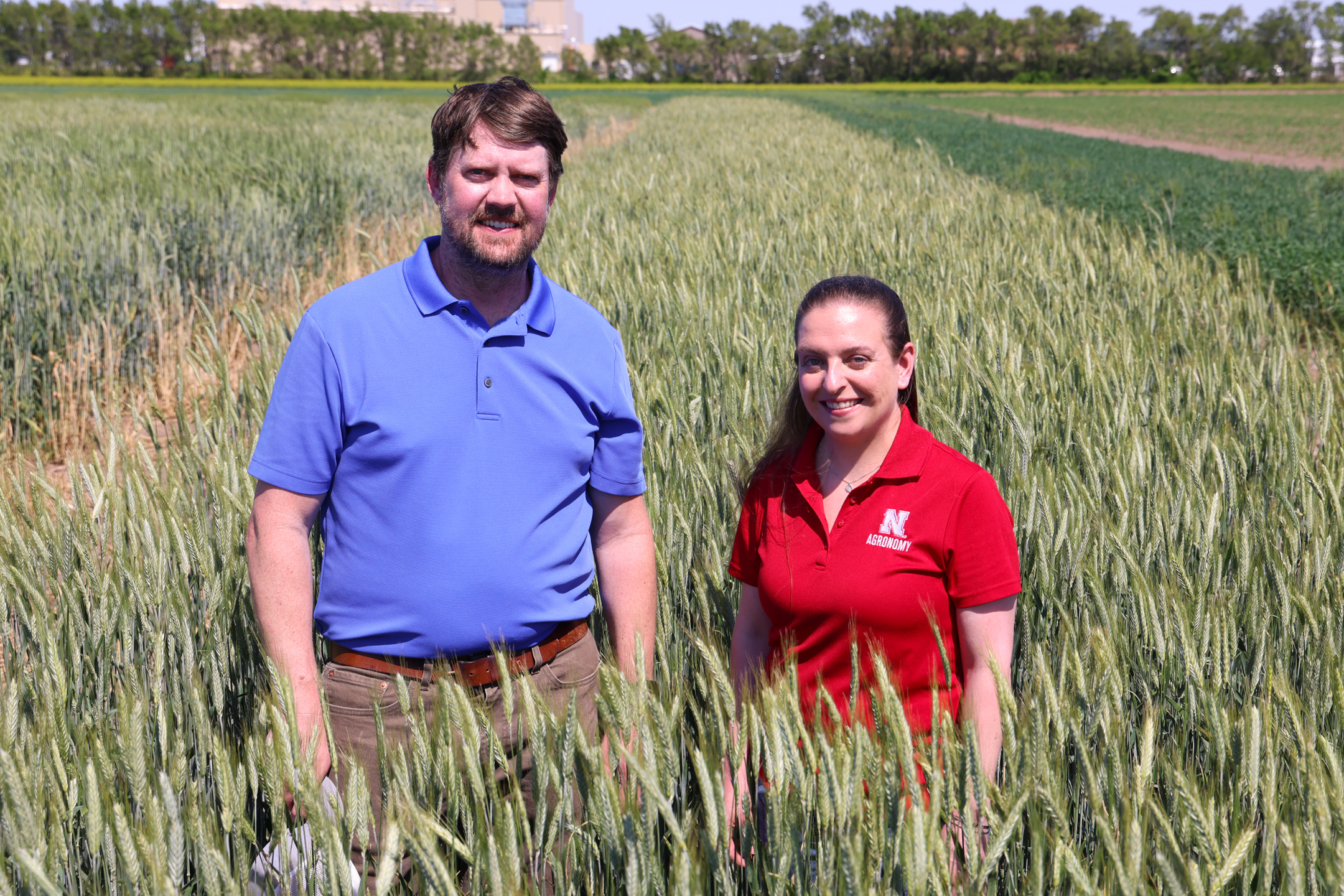 A man in a blue polo and a woman in a red polo stand in a wheat field.