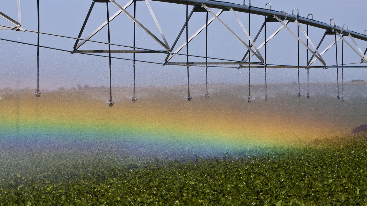 Soybean field south of Center City, Nebraska under irrigation. Rainbow caused by late afternoon sun hitting spray. 