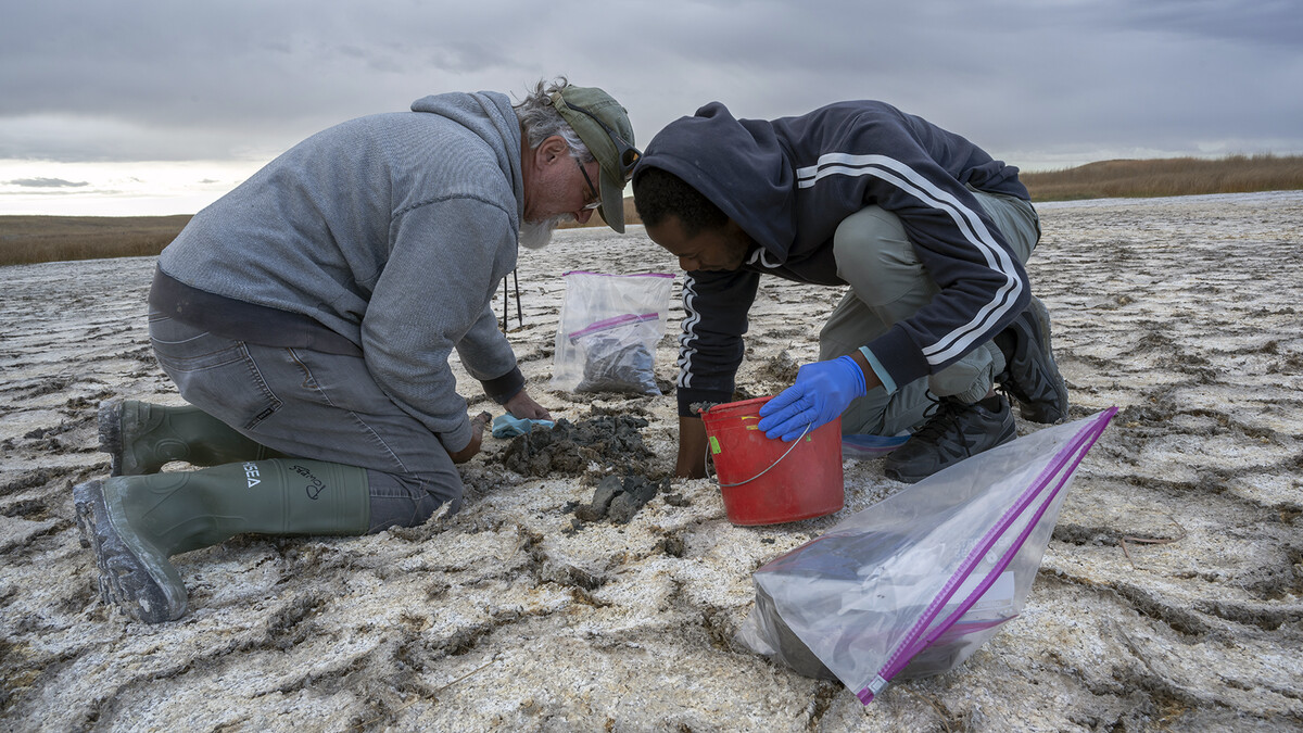 Tom Powers (left), professor of plant pathology, and David Sirengo, a doctoral student in plant pathology, recover a mud sample as part of the nematode research project in the Nebraska Sandhills.