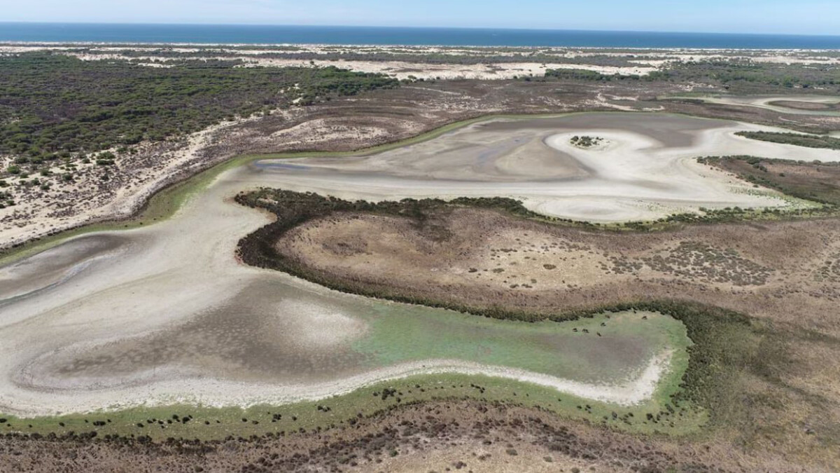 An aerial view of Doñana National Park in Spain shows drought conditions.