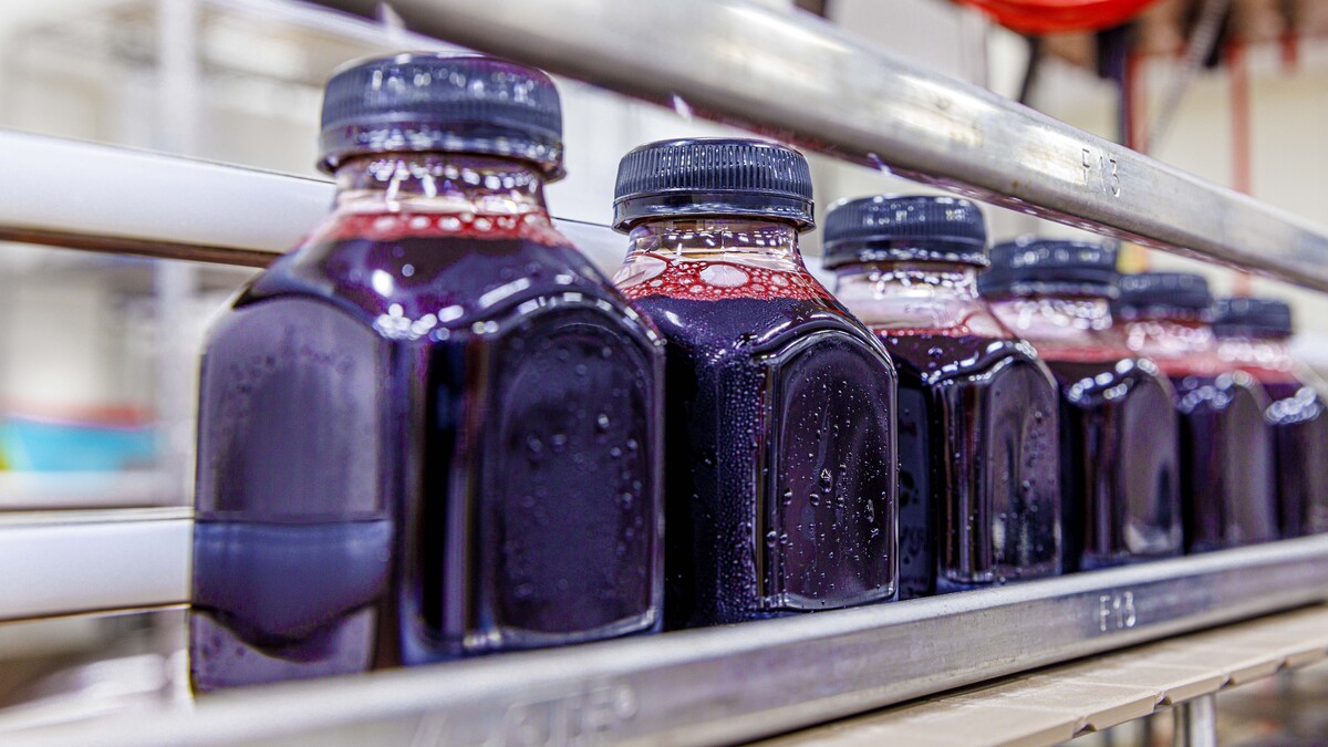 Six bottles of deep purple aronia juice sit in a line.