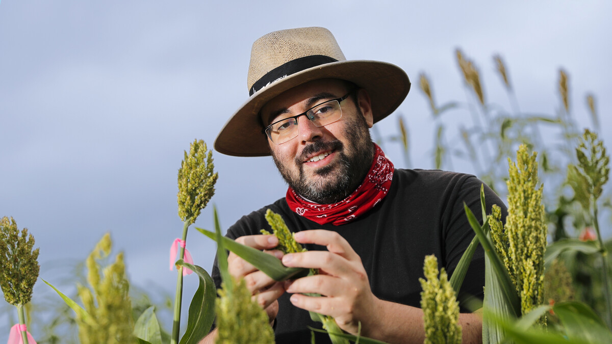 James Schnable stands in a sorghum field. He is wearing a black shirt, red gaiter, wide-brimmed hat and glasses.