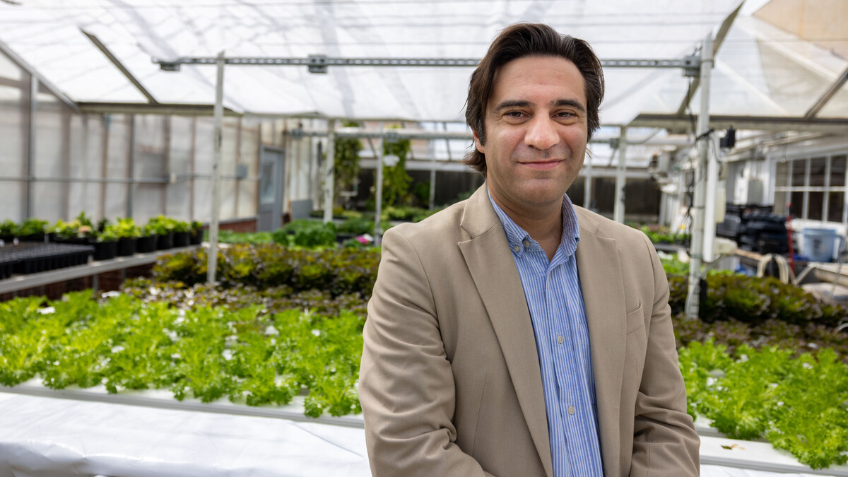 Patricio Grassini, professor of agronomy and horticulture at the University of Nebraska–Lincoln, poses in a greenhouse. He is wearing a tan jacket and light blue dress shirt.