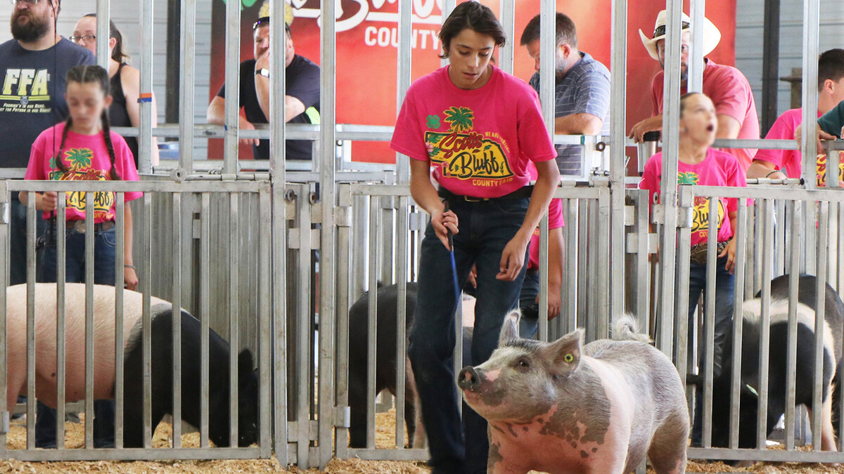Rico Ramirez showing his pig