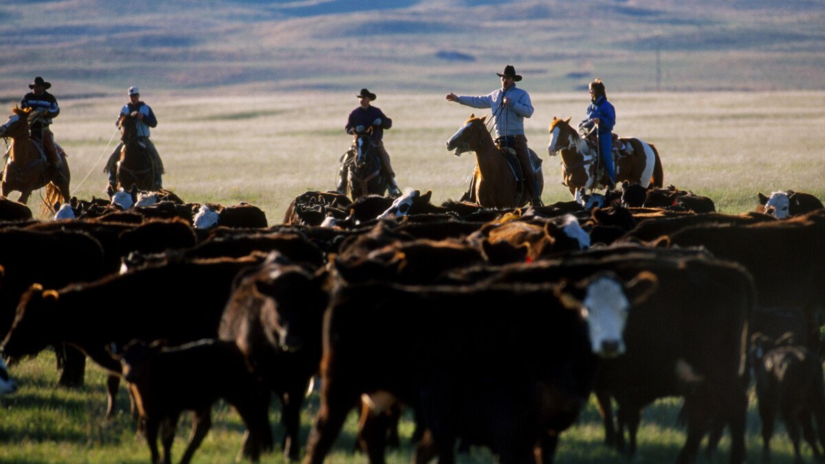 ranch picture 