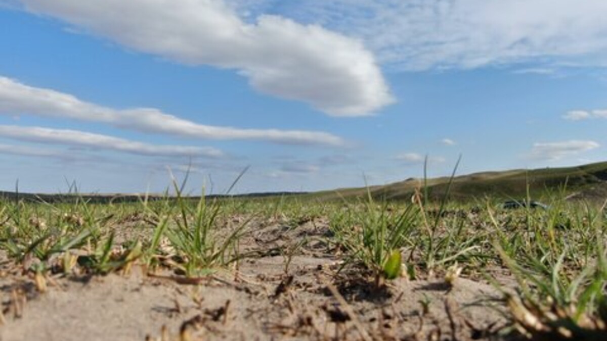 Rangeland in Lincoln County, Nebraska two months after the February 27, 2024 Betty's Way wildfire.