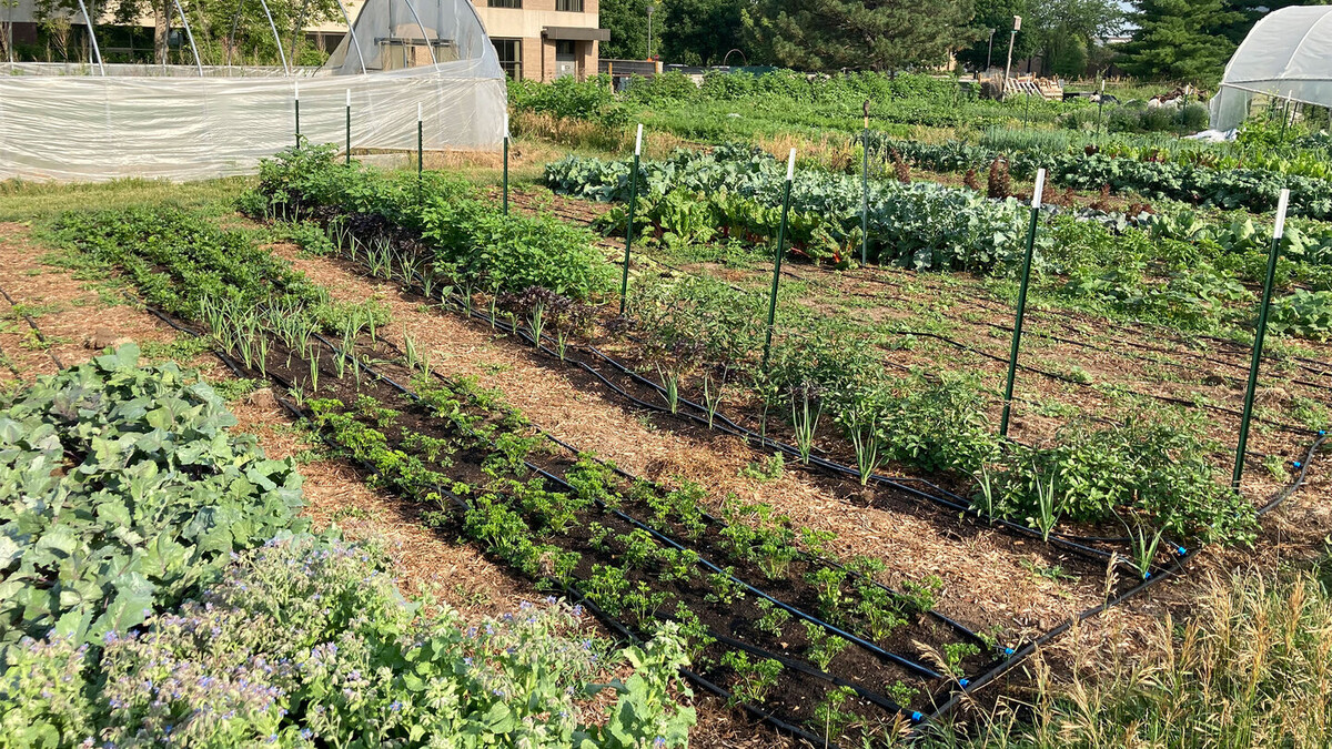 Husker Produce