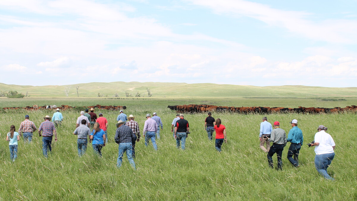 A group of cattle producers and Extension professionals walk through native pasture, observing forage conditions and discussing grazing strategies.