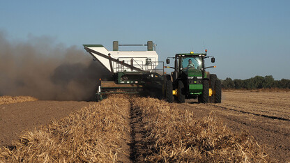 Dry Bean Harvest