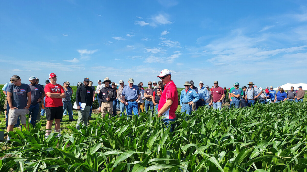 people gathered in field 