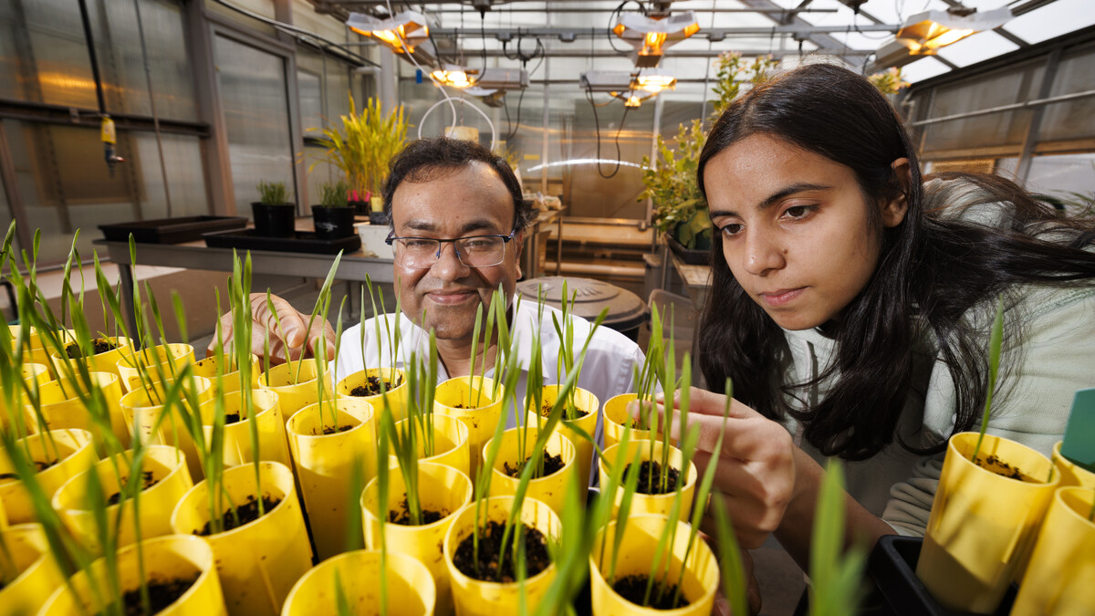agriculture-research