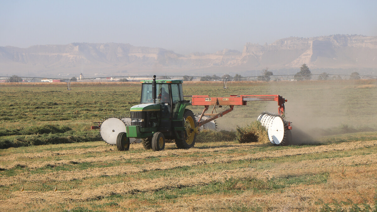 field of alfalfa