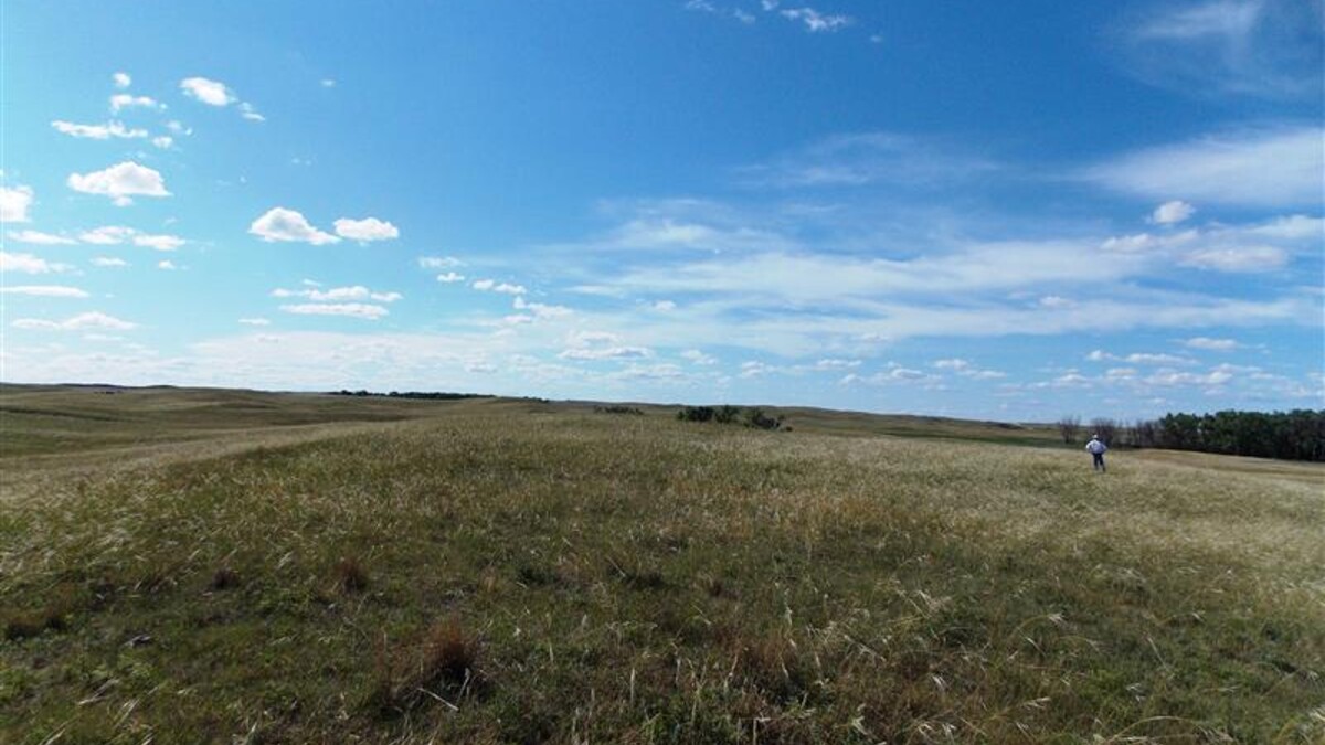 Wide view of an open Sandhills pasture under a blue sky with scattered clouds. A person stands in the distance near the right edge of the image, surrounded by gently rolling grass-covered hills.