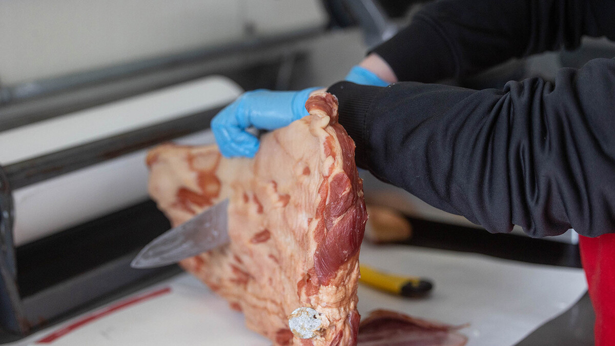 A person wearing blue gloves and a black sweatshirt trims a slab of raw bacon using a sharp knife on a white cutting surface in a meat processing facility.