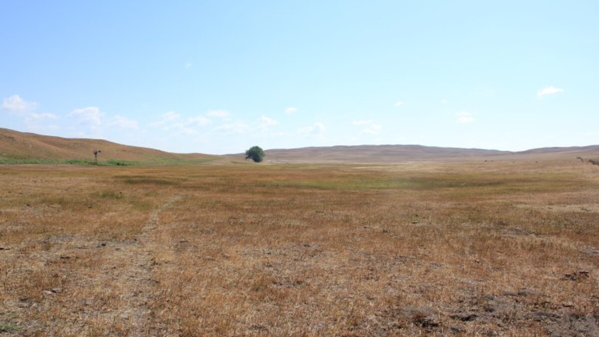 Establishing annual monitoring protocols gives you the ability to compare current conditions to previous years. Photo courtesy of Troy Walz.