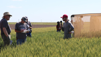 field picture 