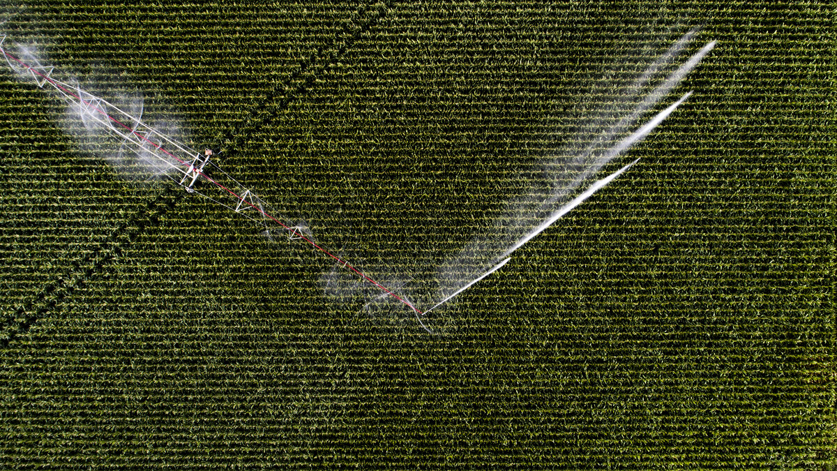 irrigation