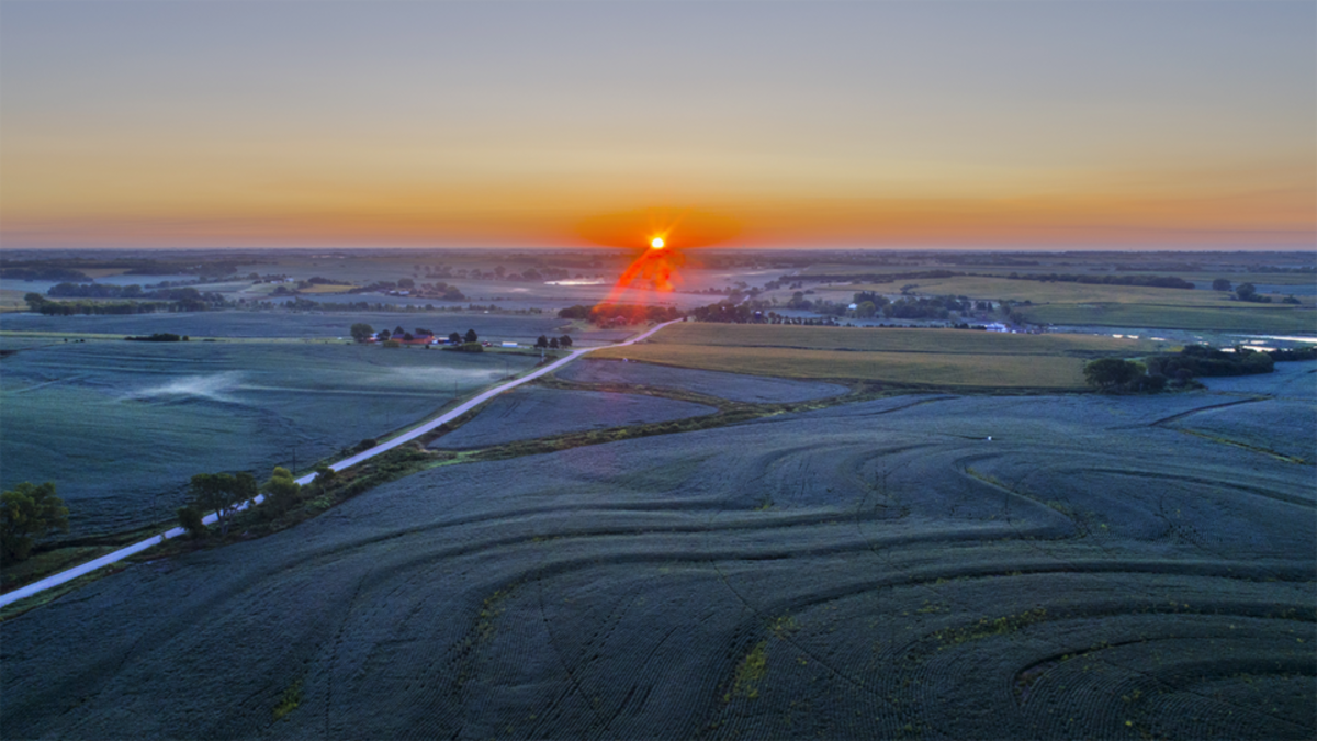 Field