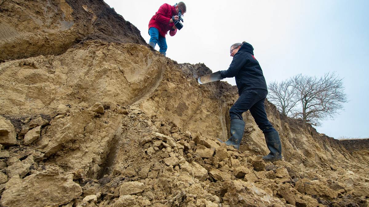 soil virtual class