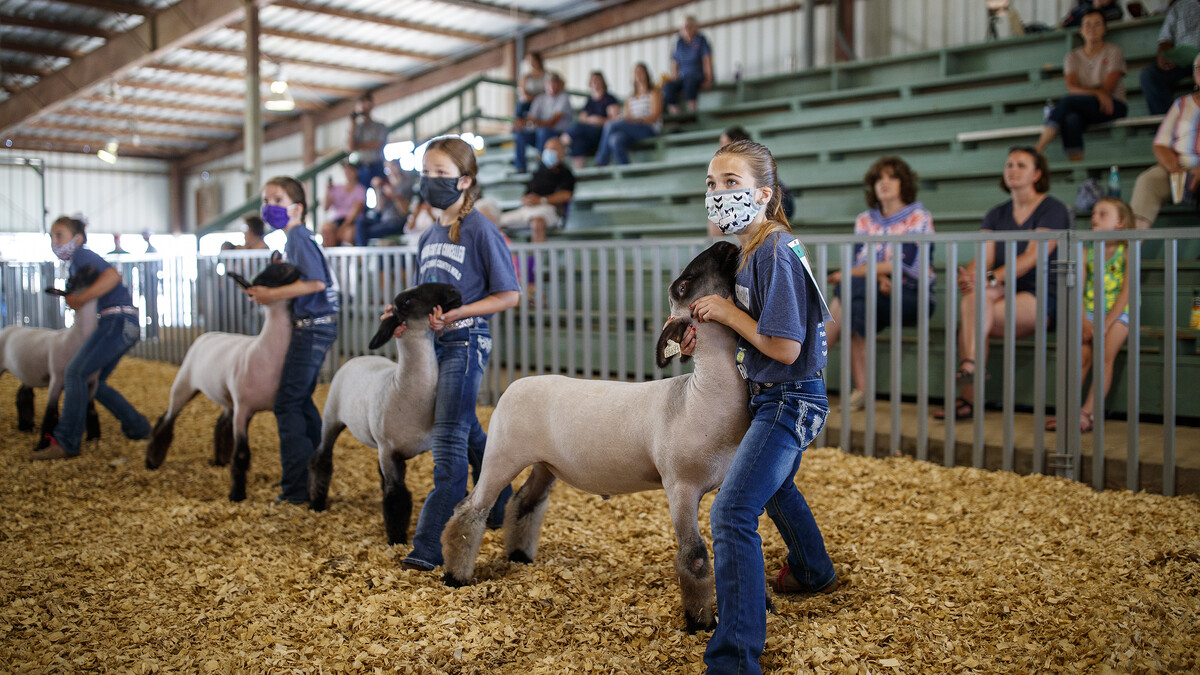 Nebraska County Fair