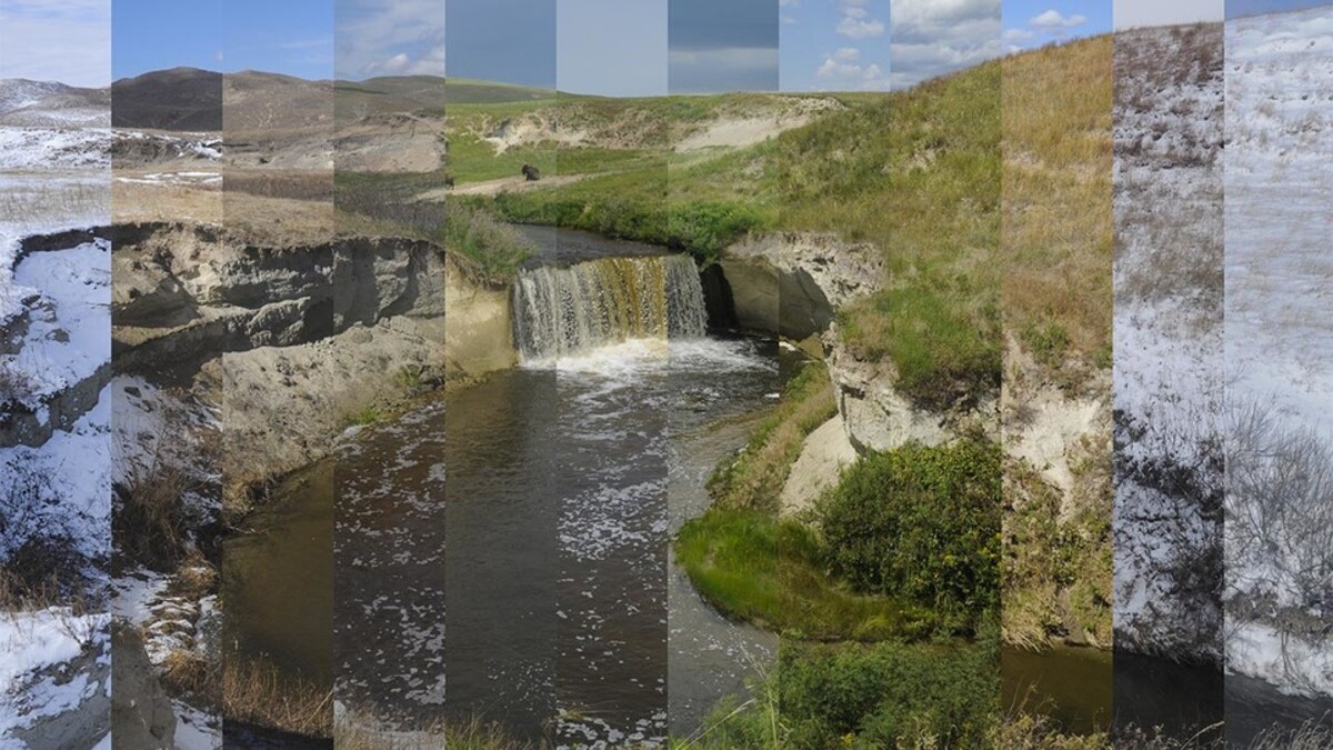 lanscape collage