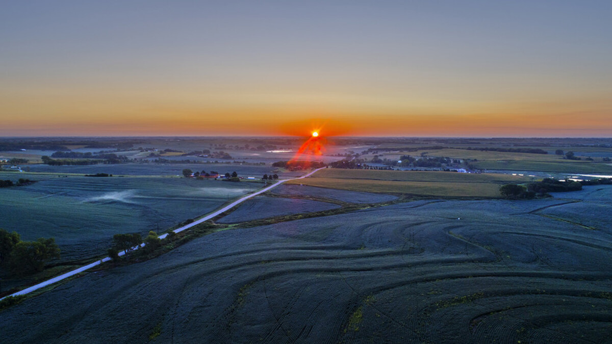 A sunset over a field. Links to larger image.