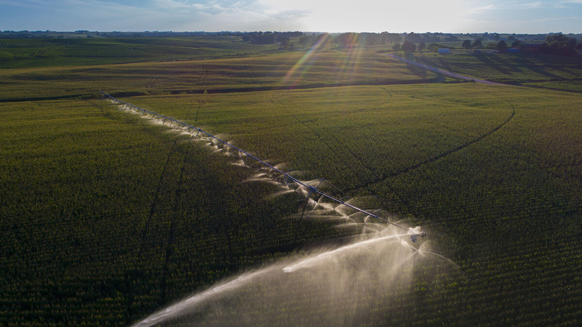 Farmland 