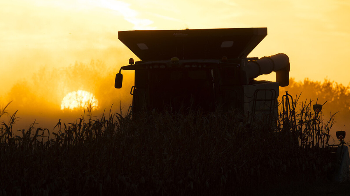 A combine in a field at sunset. Links to larger image.