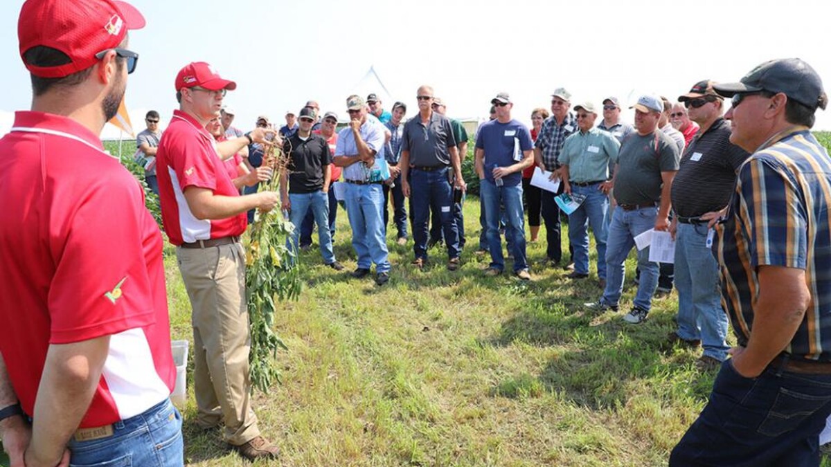 Soybean Management Field Days