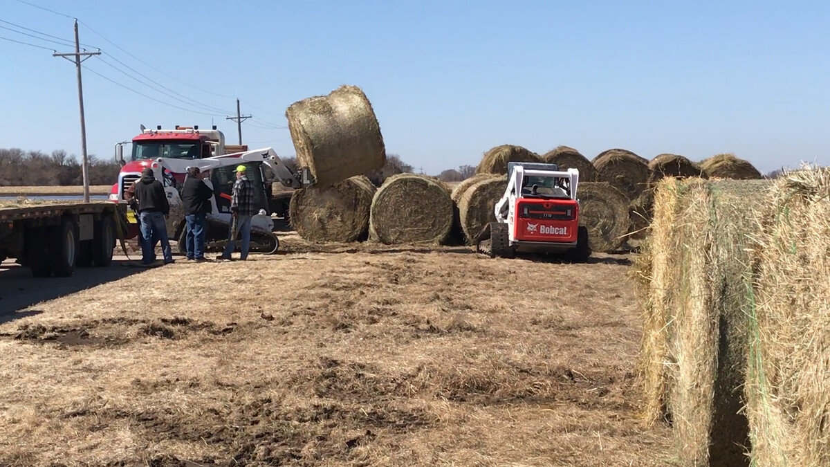 Hay Donations