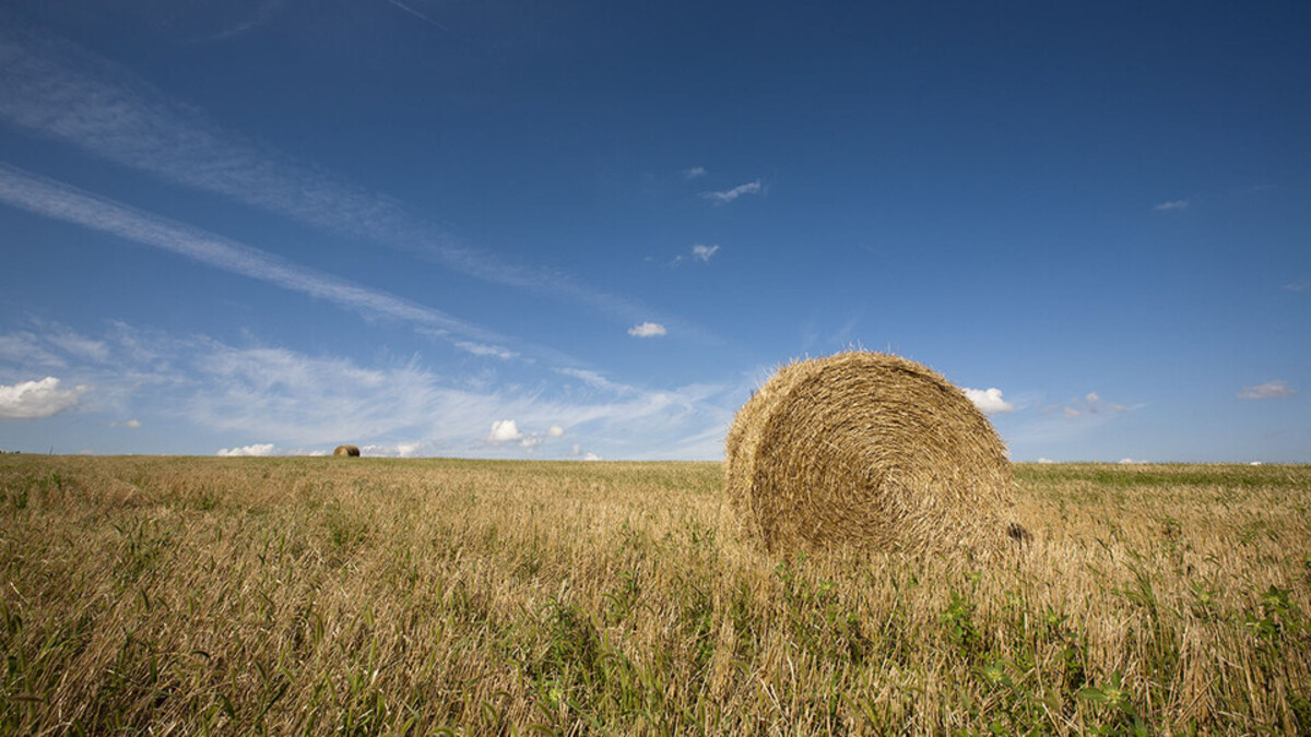 hay bail