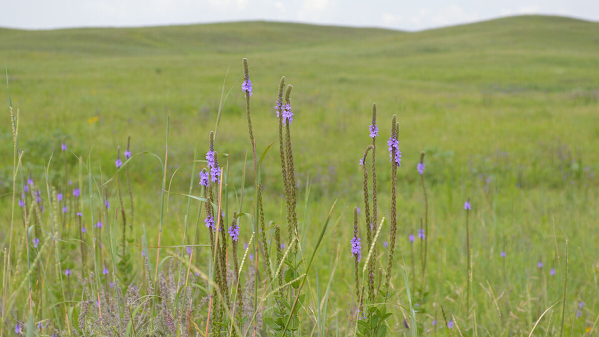 Nebraska Environmental Trust