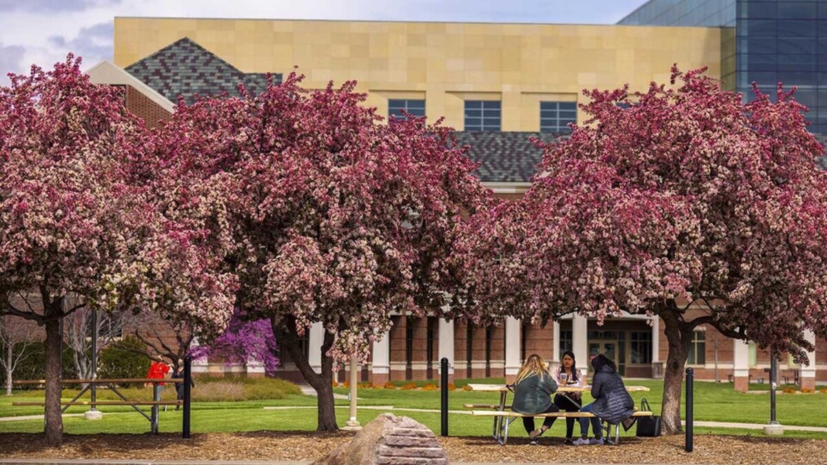 UNL 