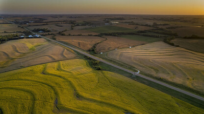 Nebraska cornfield