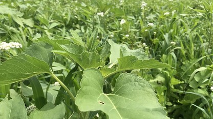 2022 Eastern Nebraska Soil Health Conference