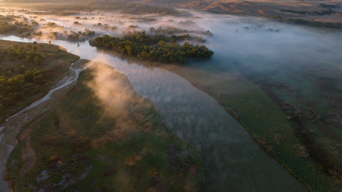 wetlands