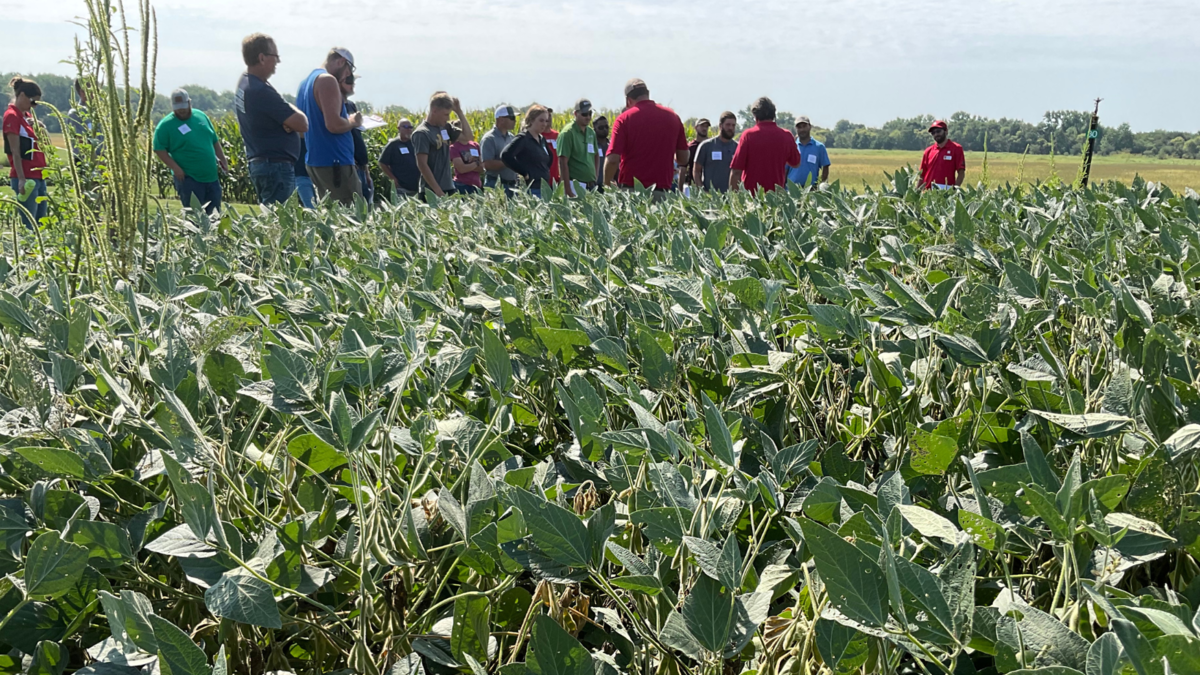 Nebraska Corn and Soybean Clinics
