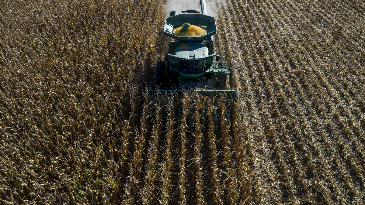 combine harvest