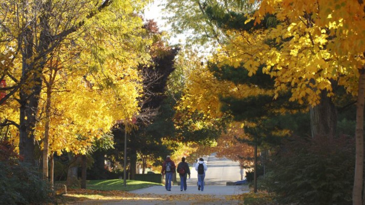 Campus