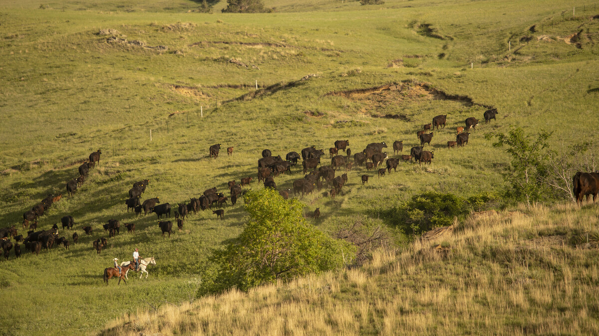 Ranch Drought Monitoring