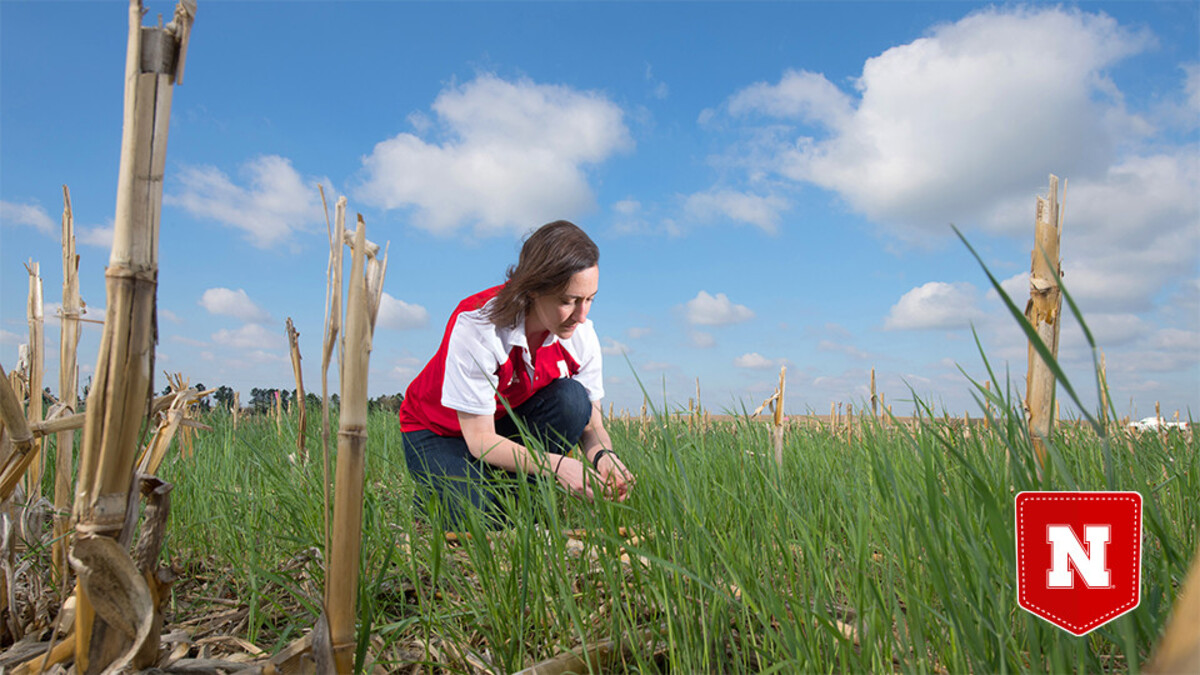 woman kneeling in field