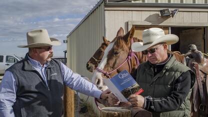 Nebraska Beef Quality Assurance