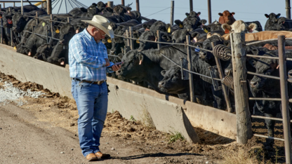 Beef Feedlot Roundtable 