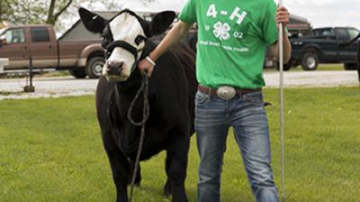 Nebraska county fair