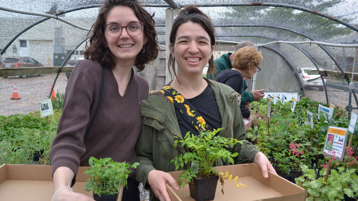 plant customers