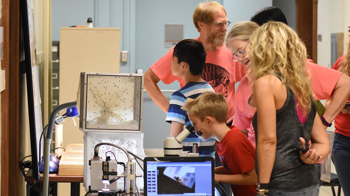 Dave Taylor explaining the secret life of flies to guests at BugFest 2017. Links to larger image.